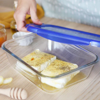 Pyrex